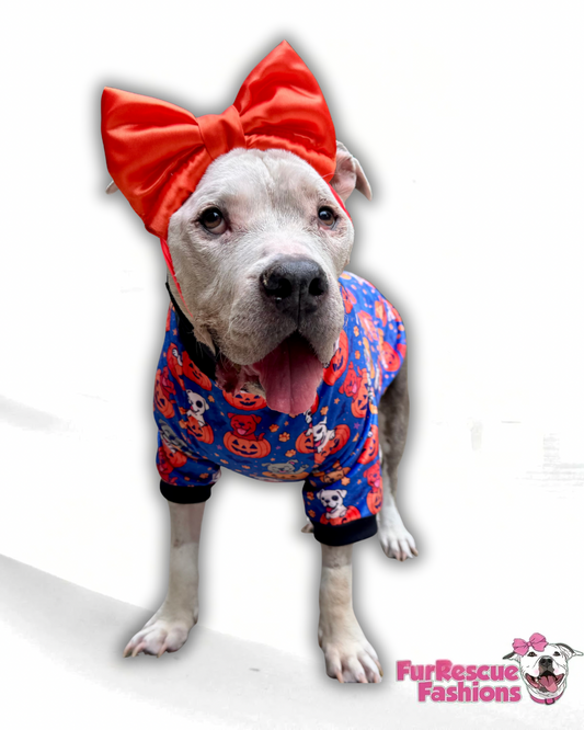 Pup-kins - Dog Pajama with Black Neck & Trim/Sleeves