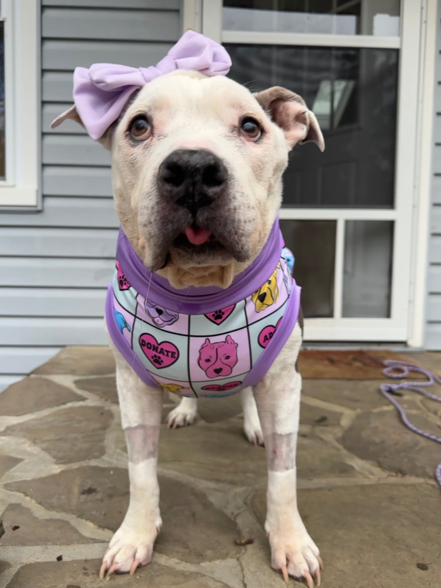 FRF - Adopt & Rescue - Dog Pajama with Lavender OR Aqua Neck & Trim/Sleeves