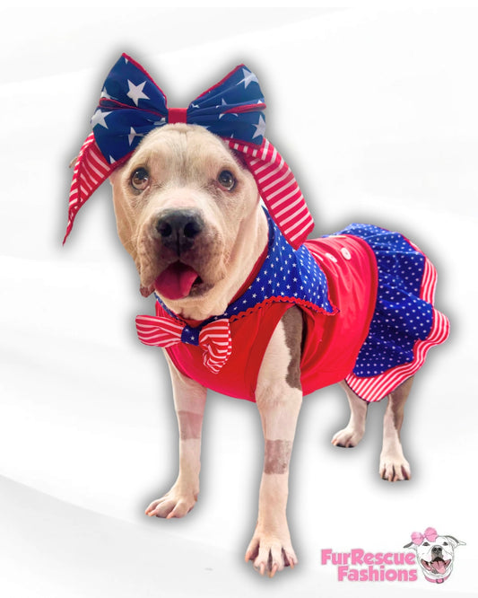 Americana Sailor Dog Dress with Ruffles & Bow tie