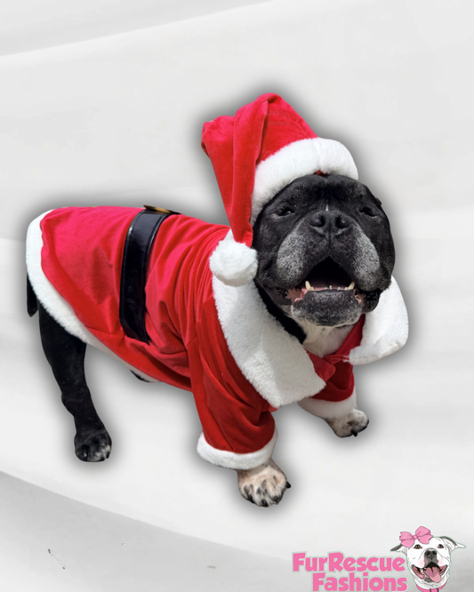 Classic Santa Dog Coat