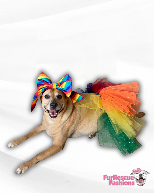 Sparkly Rainbow Dog Tutu