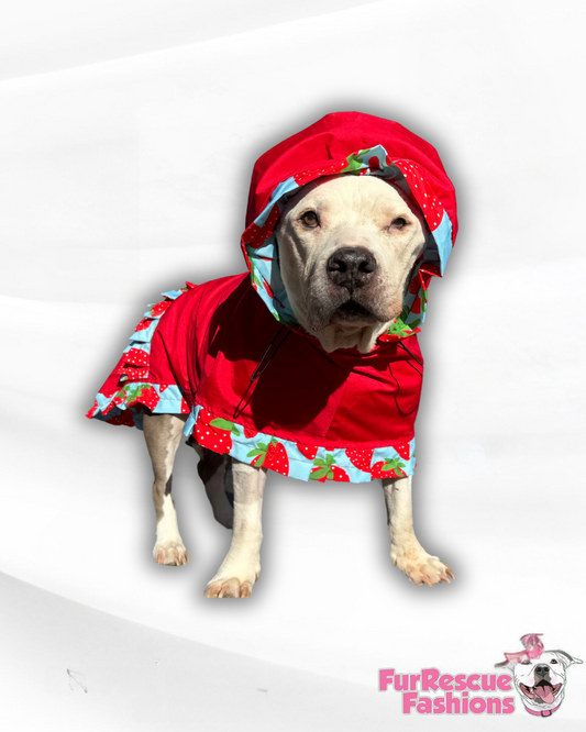 Red & Berries Rain Jacket - Cape - Vest with Printed Ruffles, Trim & Hoodie/Snood