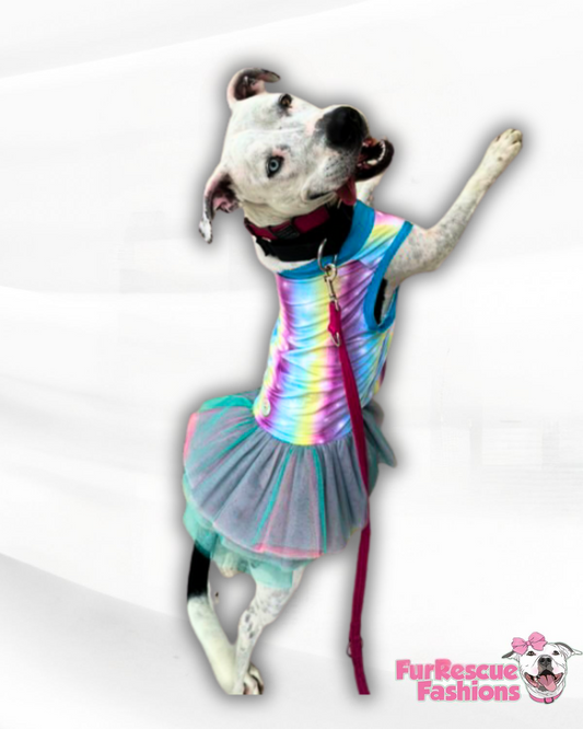 2025 Raincoats & Spring Dog Tutu Dress (AVAILABLE IN ANY PATTERN FROM THE PREORDER)
