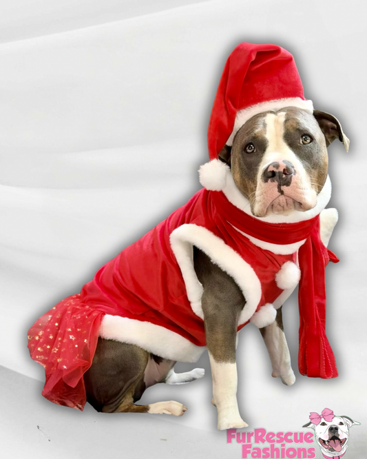 Santa & Pompoms Sleeveless Dog Dress
