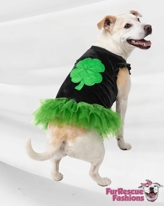Lucky Charm Shamrock Dog Dress