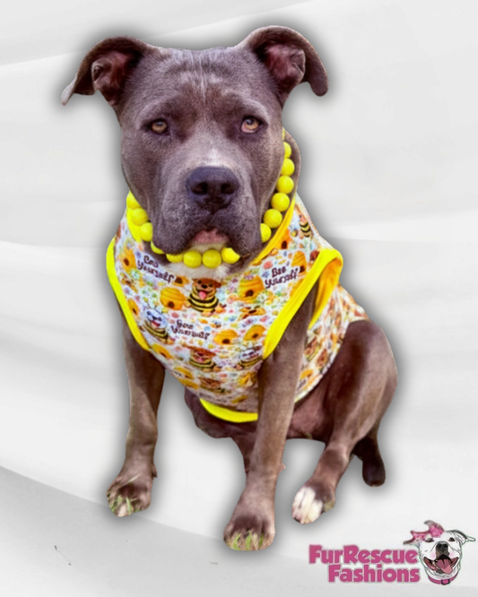 Bee Yourself Pajama with Yellow Neck & Trim/Sleeves