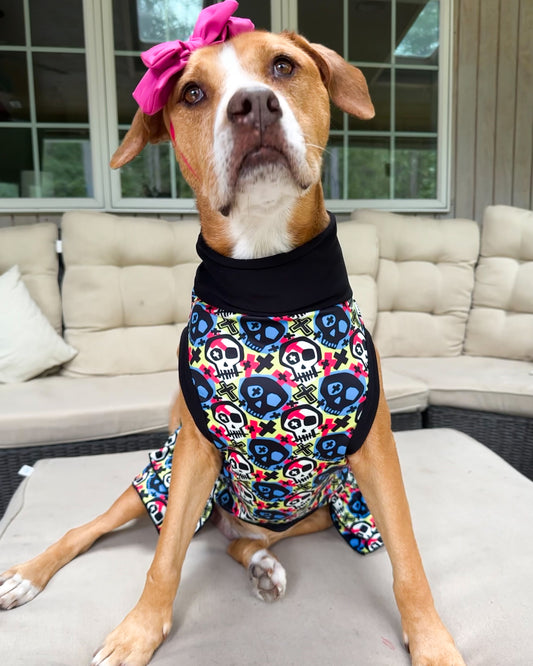 Dead Men Tails Dog Dress with Ruffle - Black Neck & Trim