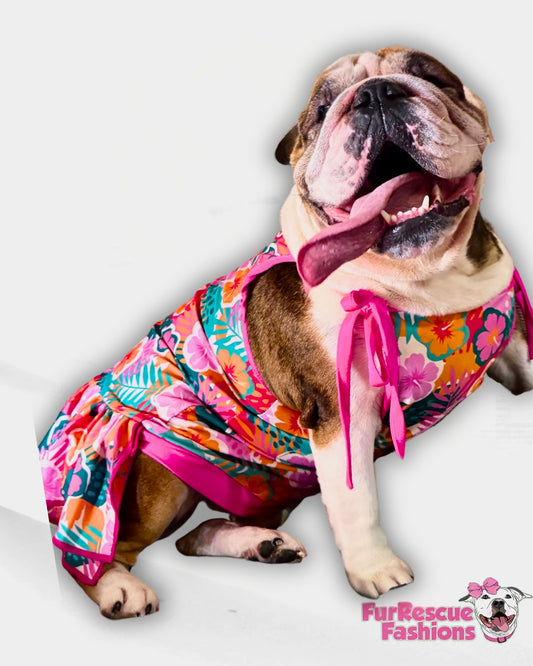 Tropical Paradise Dog Pajama with Hot Pink Trim