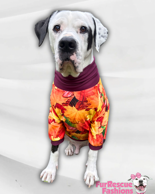 Autumn Harvest Leaves - Dog Pajama with Burgundy Neck & Trim/Sleeves
