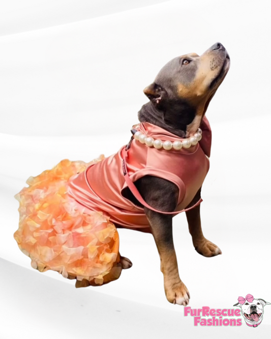 Miss Peaches Gala Dog Gown WITHOUT Attachable Train