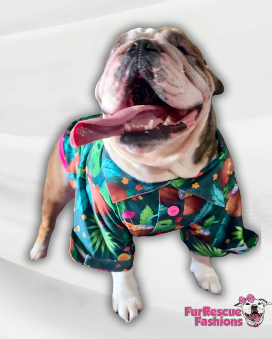 Coconut Fun Dog Pajama with Yellow Trim