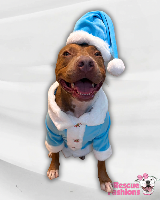 Winter Frost Santa Dog Coat