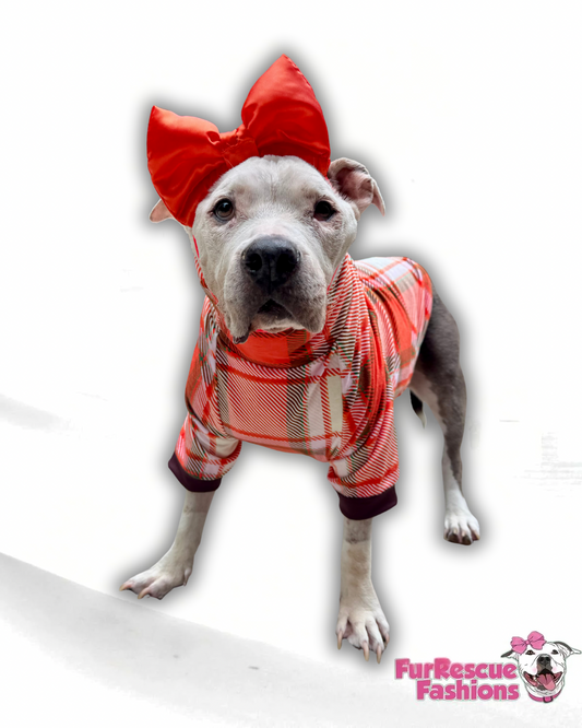 Pumpkin Spice Plaid - Dog Pajama with Brown Neck & Trim/Sleeves