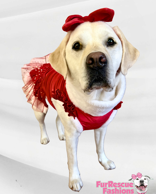 Holiday Velvet Sparkle Dress With Bow Headband And With or Without Cape