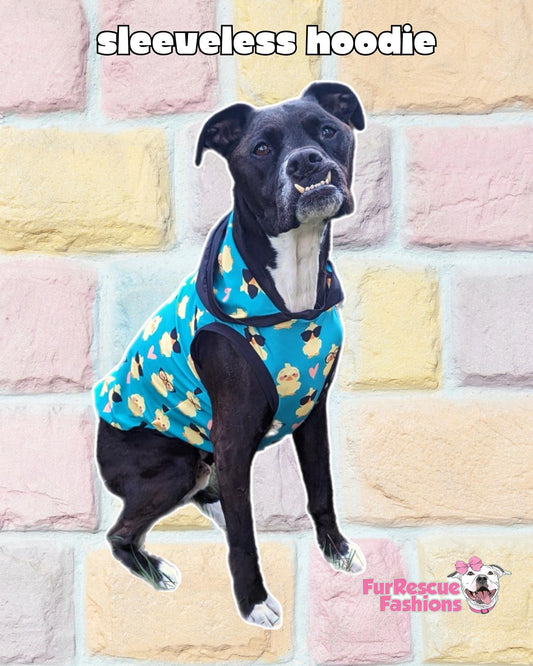 Chick Magnet - PAWjama with Black Neck & Trim/Sleeves