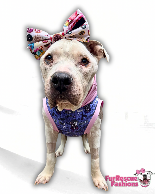 Rescue Riot Dog Pajama with Black Or Pink Trim