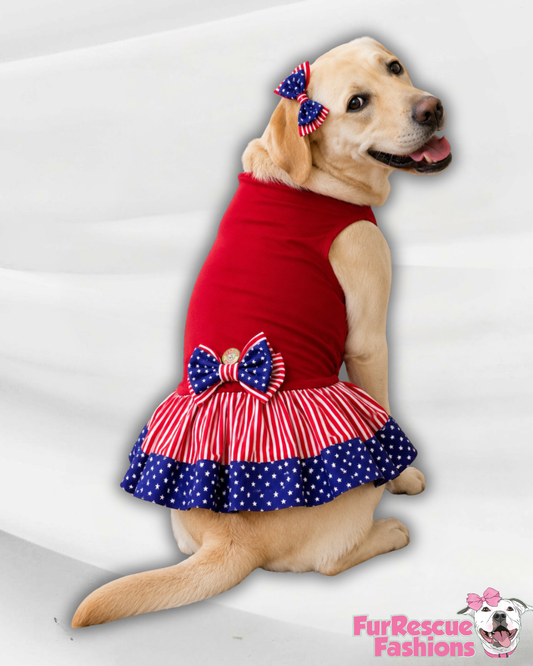 Stars, Stripes & Bows Dress
