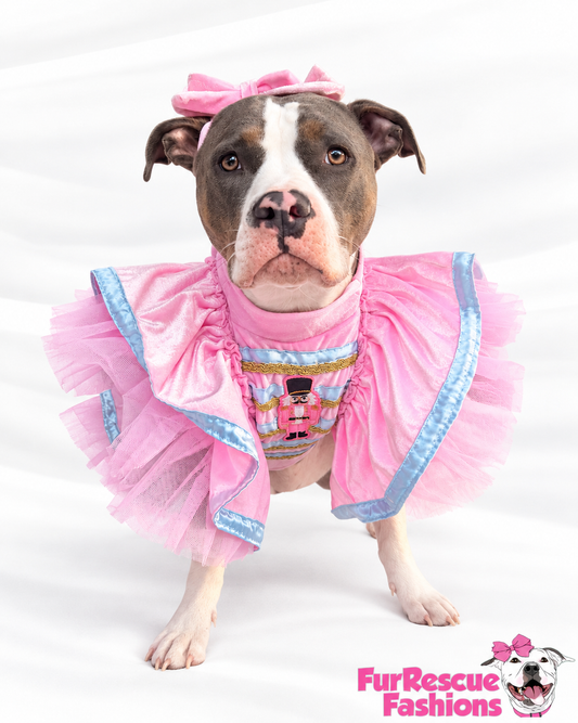 Sugar Plum Nutcracker Couture Christmas Dog Dress