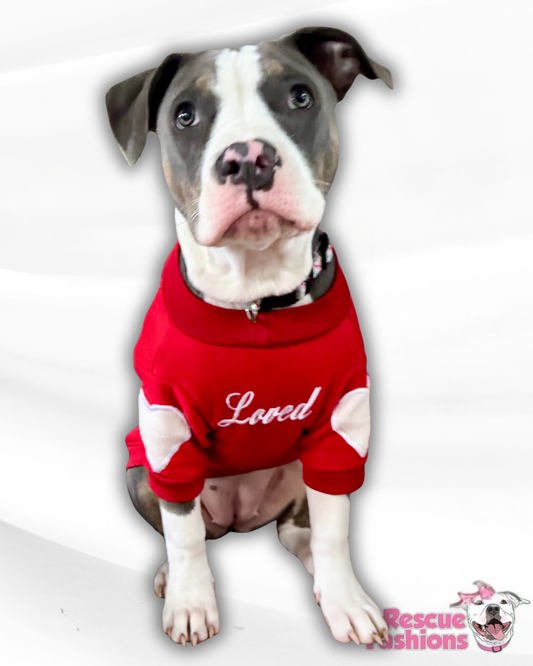 Red Loved Dog Crewneck With Elbow Heart Patches