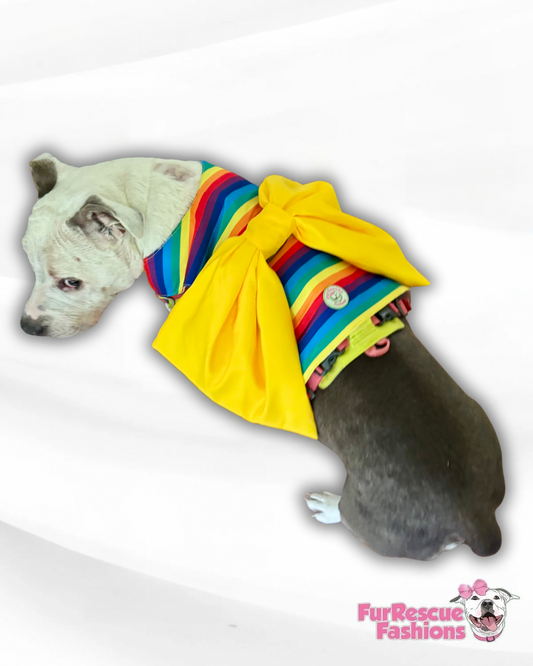 Proud Love Dog Harness with Big Bow