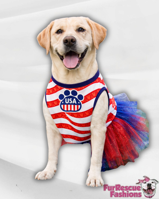 Team Spirit Soccer Cup 2026 Dog Tutu Dress (Available in any pattern from this preorder)