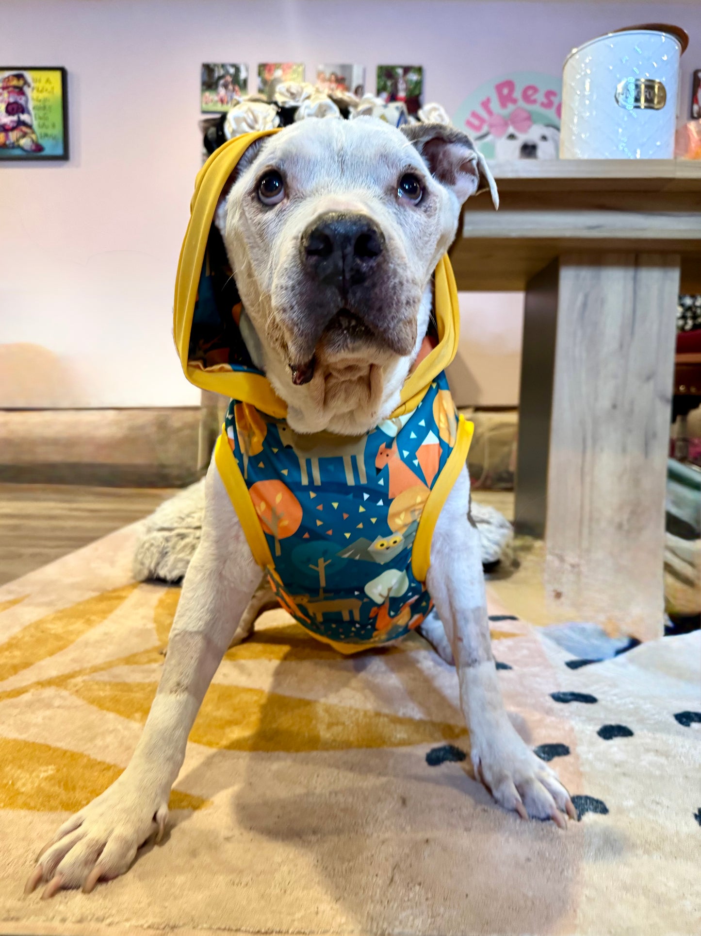 Wild About Fall - Dog Pajama with Mustard Neck & Trim/Sleeves