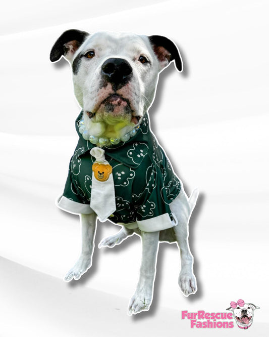 Beary Dapper Button Down Dog Shirt