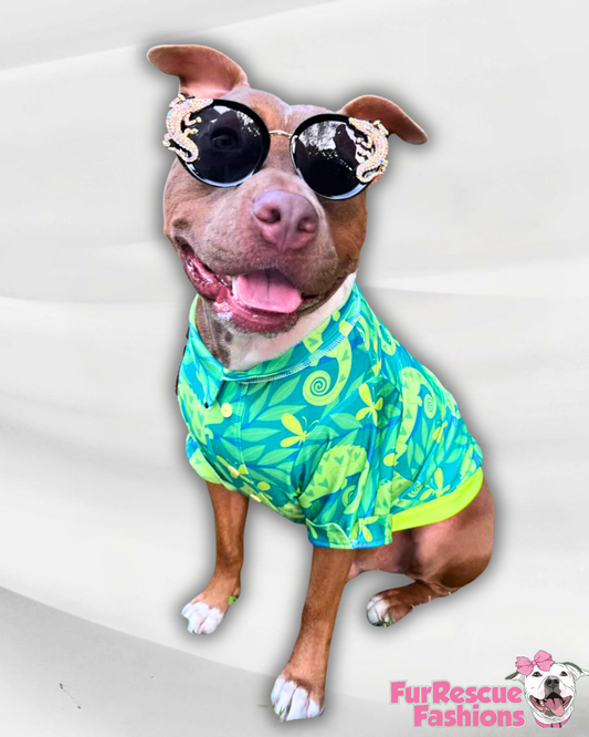 2026 Summer Hawaiian Faux Button Up Dog Shirt With Sleeves (Choose Your Pattern)
