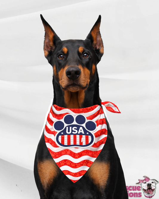 United Paws Soccer Cup UV50 Dog Bandana – Team Paw Edition 🐾⚽️