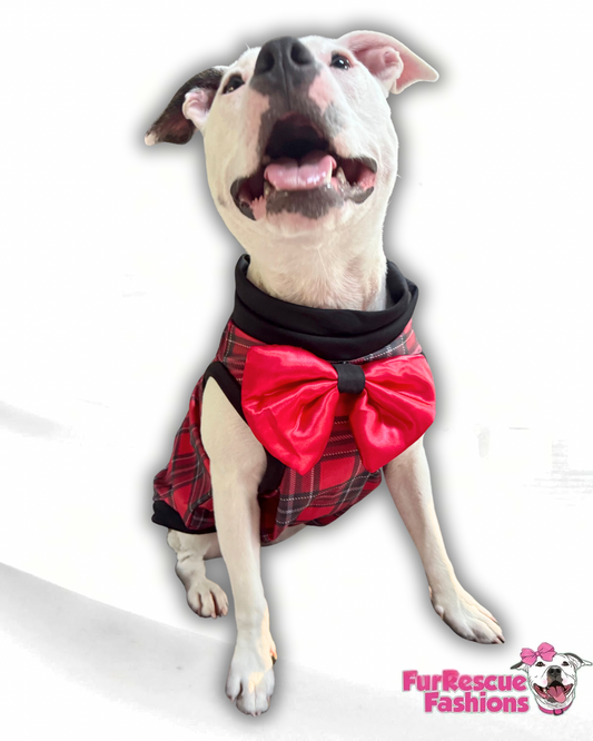 Tartan Dream Dog Shirt With Detachable Bow tie