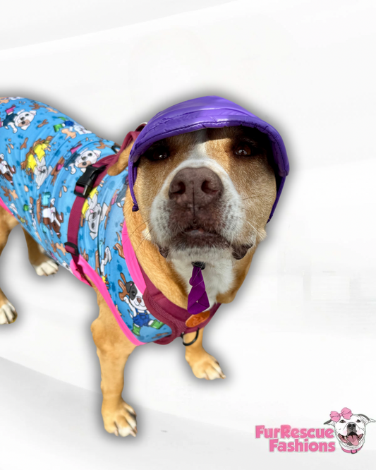 Purple Waterproof Dog Hat