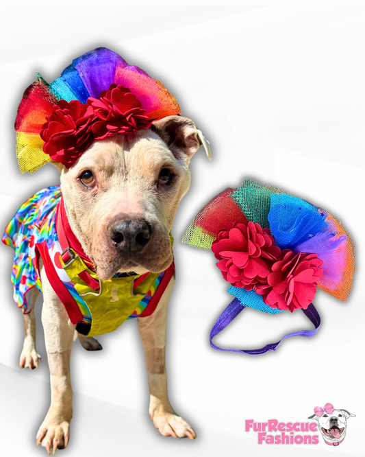 Rainbow Dog Fascinator