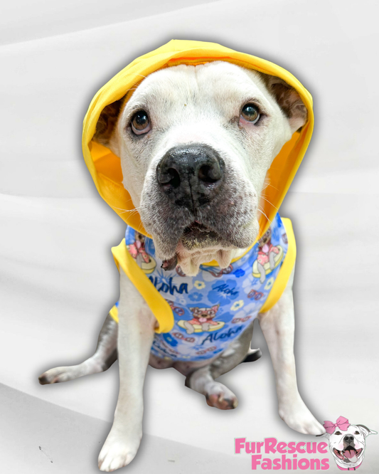 Live, Love, Leis (Blue) - PAWjama with Yellow Trim