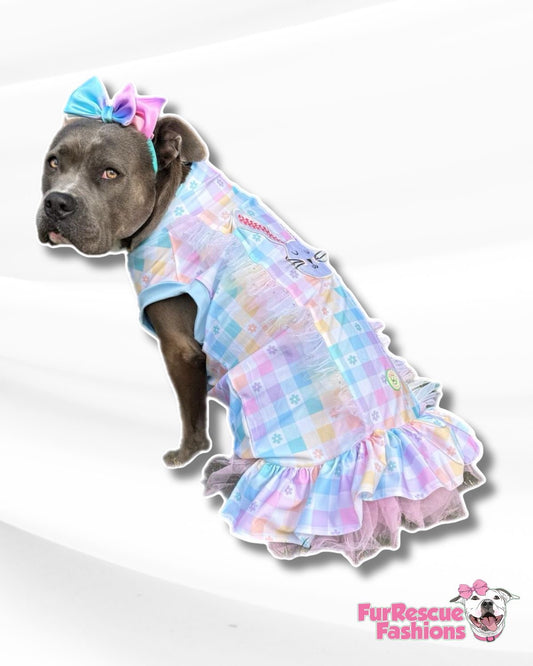 Easter Best Dog Dress With Embroidered Bunny