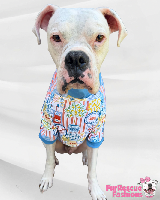 La Dolce Vita - Dog Pajama with Blue Neck & Trim/Sleeves