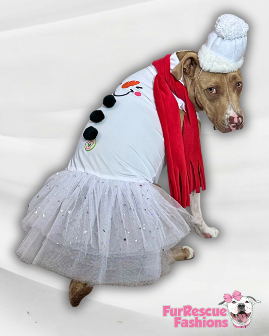 Frosty Kisses Sparkly Dog Tutu Dress