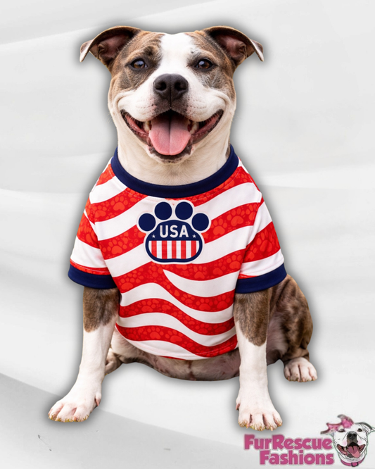 USA Dog Jersey or Ruffle Dress – Soccer Cup 2026 | Custom Pet Soccer Shirt ⚽️🐾