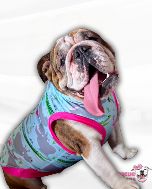 Summer Hippo Party Dog Pajama with Hot Pink OR Green Trim