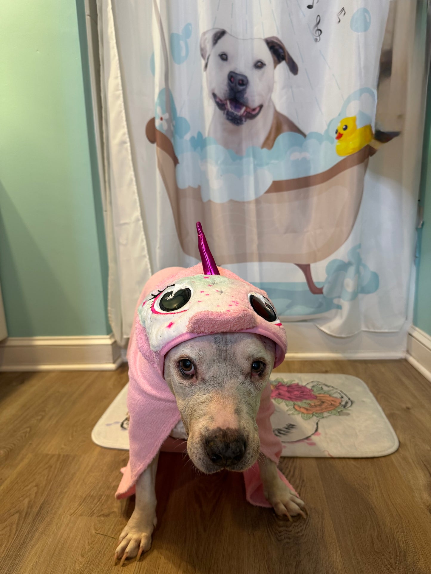 Unicorn Dreams Towel & Blanket