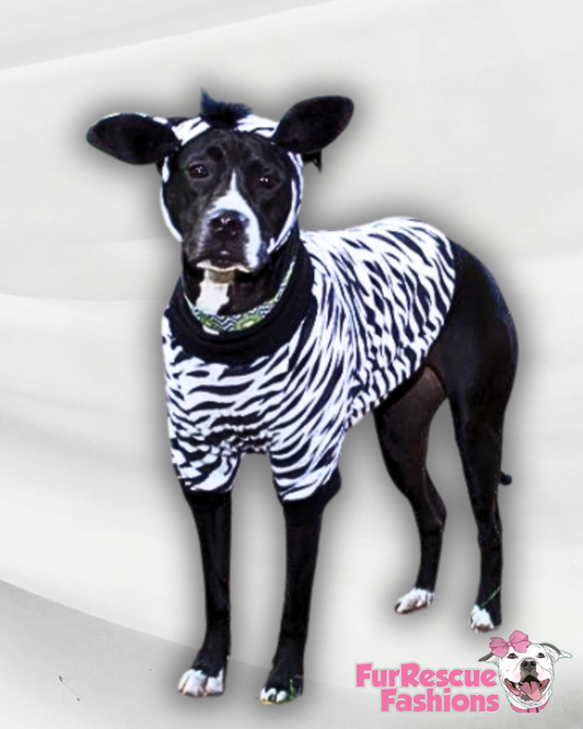 Luxury Fleece Zebra Dog Outfit with Headband