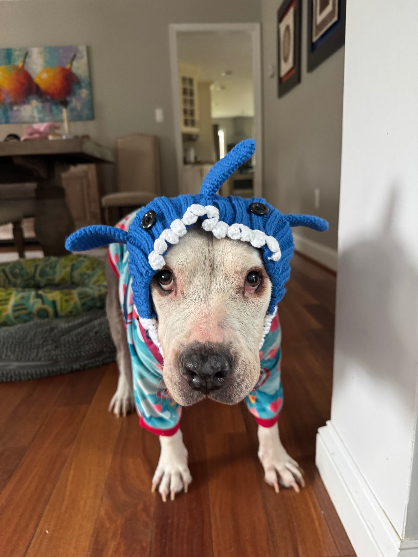 Sharkie Cozy Dog Snood