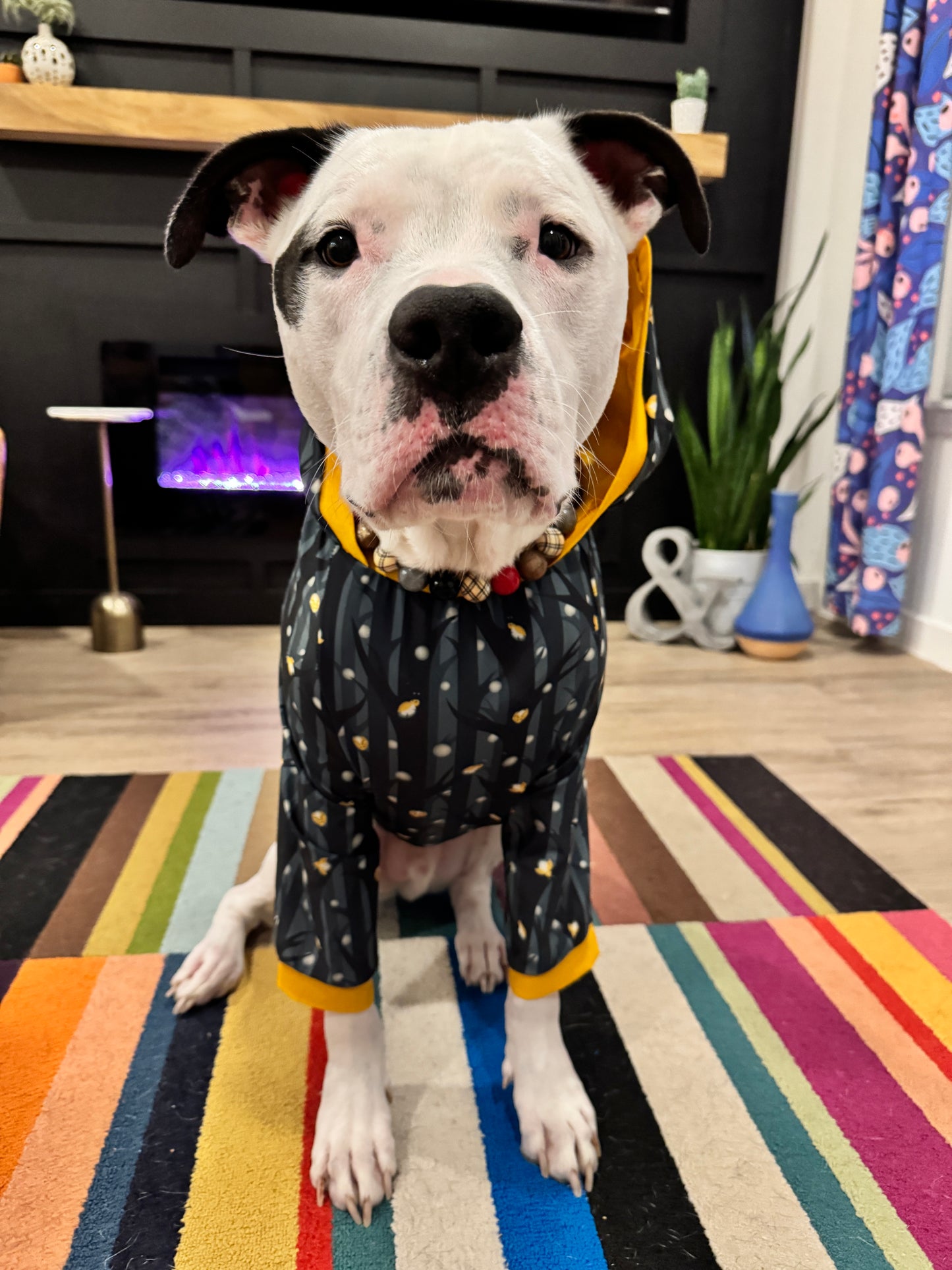 Ready, Set... Glow - Dog Pajama with Mustard Neck & Trim/Sleeves