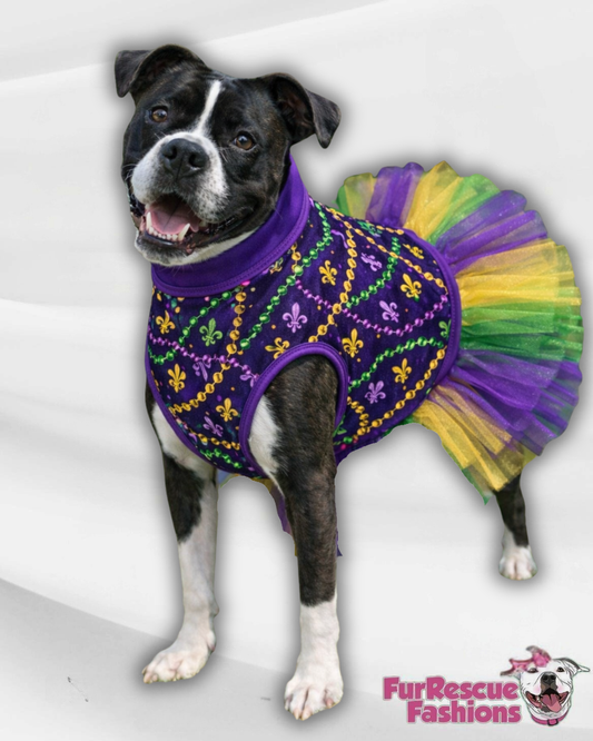 Mardi Paws Mash-Up Dog Tutu Dress (Available in any pattern from this preorder)
