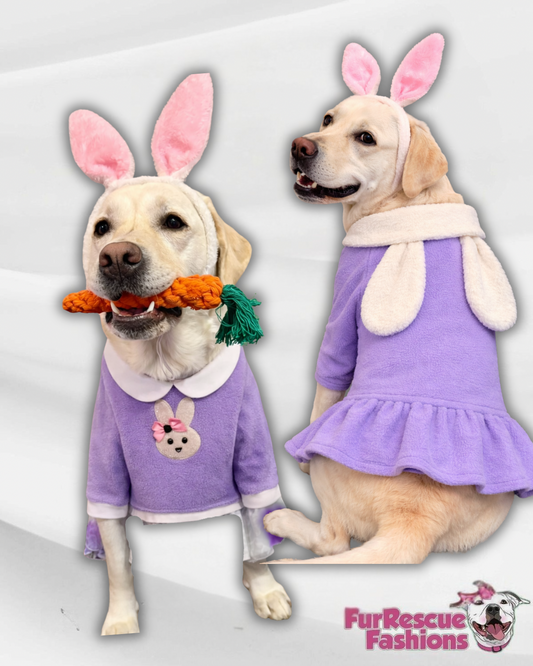 Easter Bunny Belle Dress