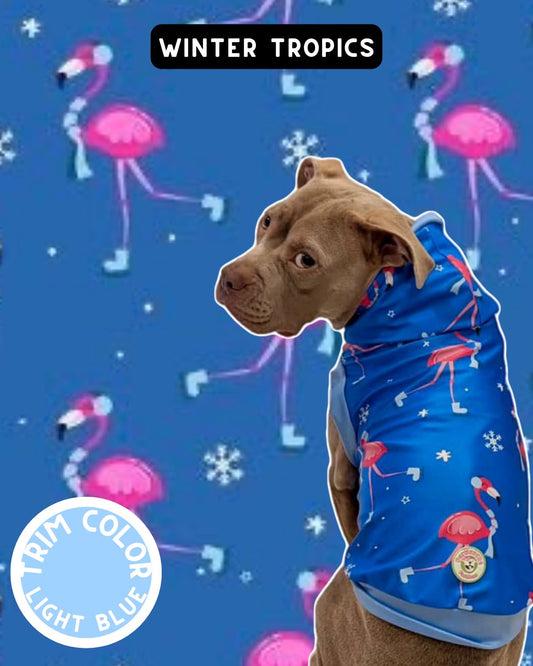 Winter Flamingos Dog Pajama with Light Blue Neck & Trim/Sleeves