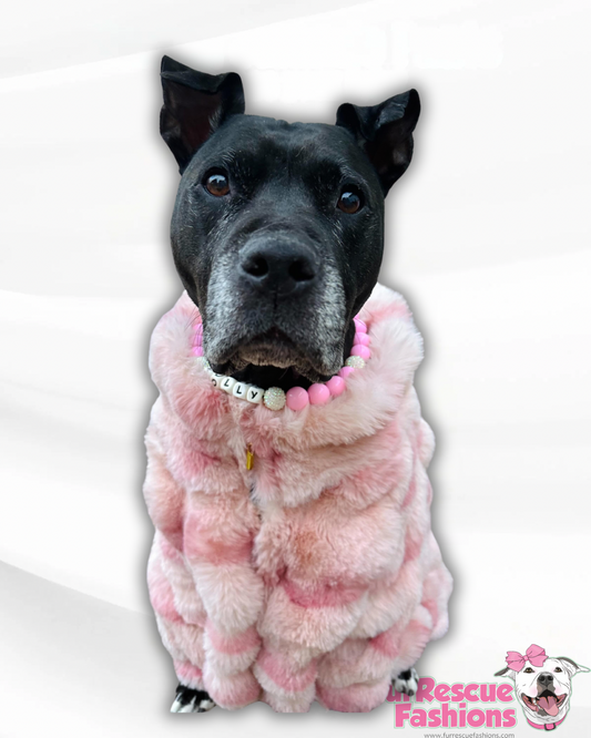 Rose Glam Furry Dog Jacket With Gold Zipper / Snaps