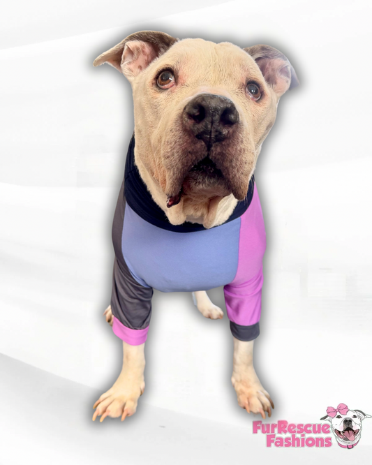Multicolor Mesh Dog Raglan Shirt