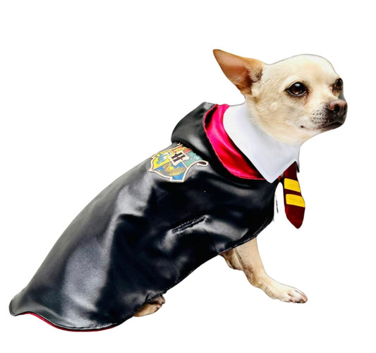 Wizard Pup Costume