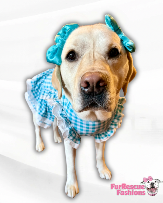 Dorothy Vibes Dog Gingham Ruffle Dress