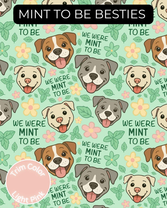 Mint To Be Besties Dog Pajama With Light Pink Trim